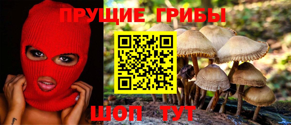 Магадан  Псилоцибиновые грибы Psilocybe  Вход с VPN 